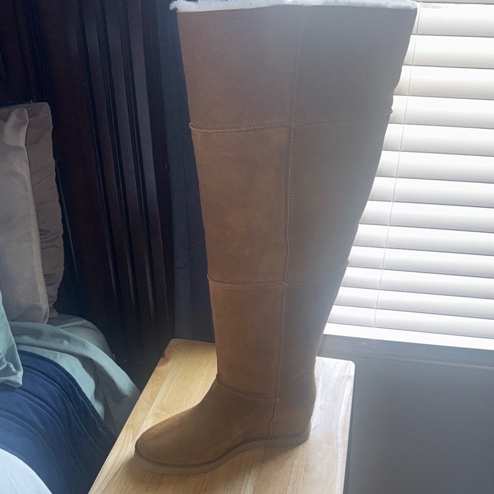 UGG Women's Brown Over the Knee Boots